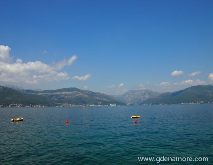 pogled